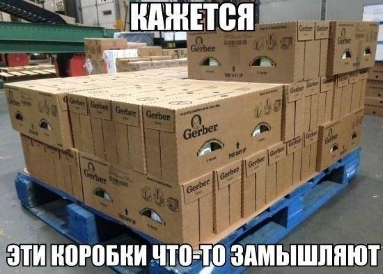 Забавные картинки