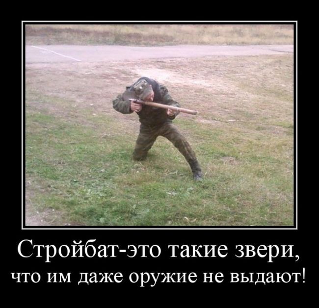 Демотиваторы