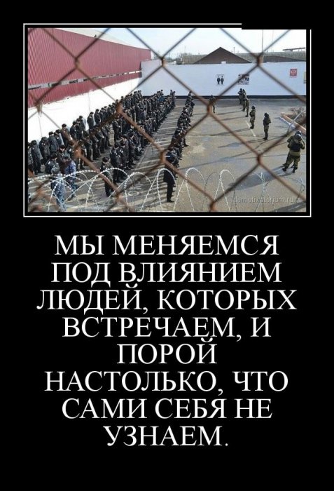 Демотиваторы