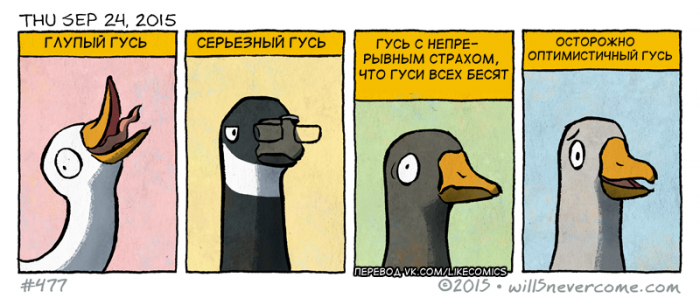 Забавные картинки