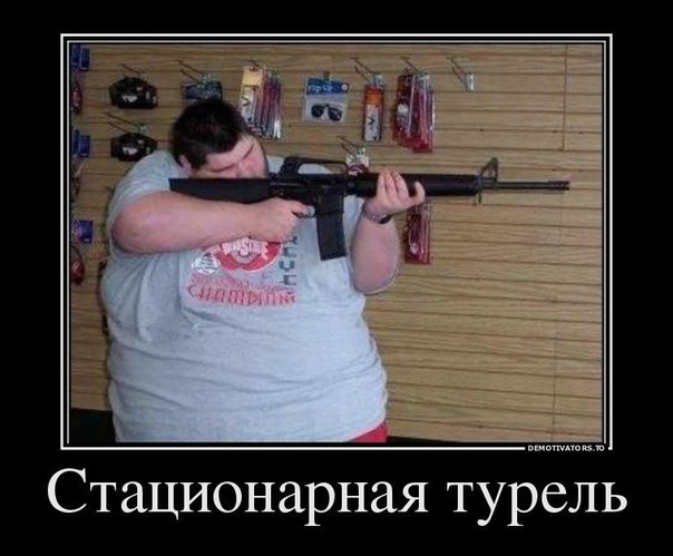 Порция картинок