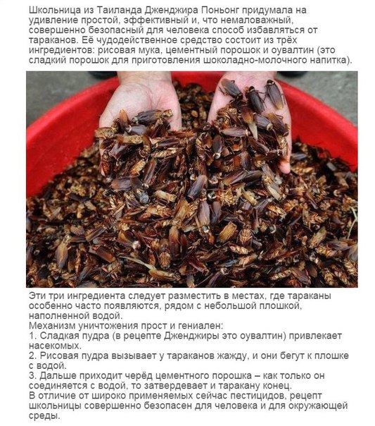 Порция картинок