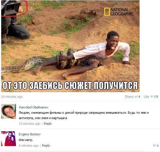Порция картинок