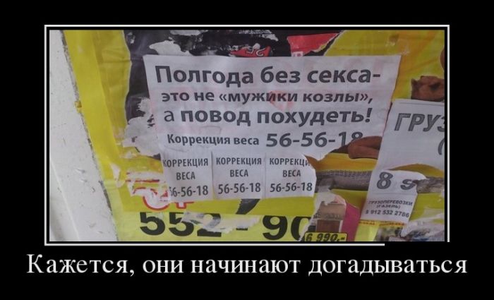 Демотиваторы