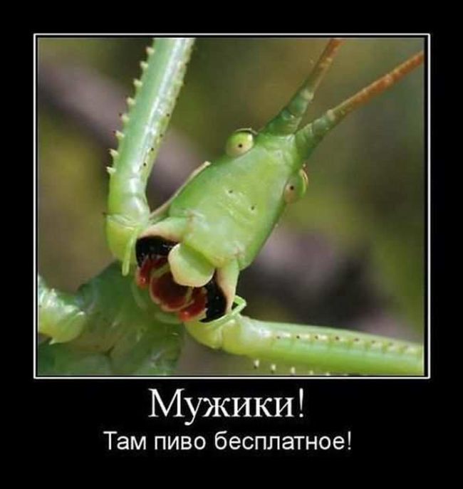 Демотиваторы