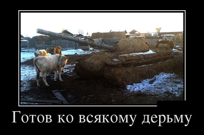 Демотиваторы