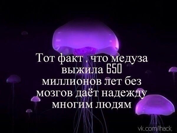 Картинки на разные темы