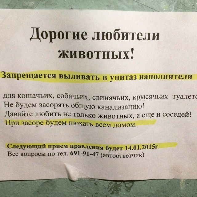Забавные объявления в наших подъездах