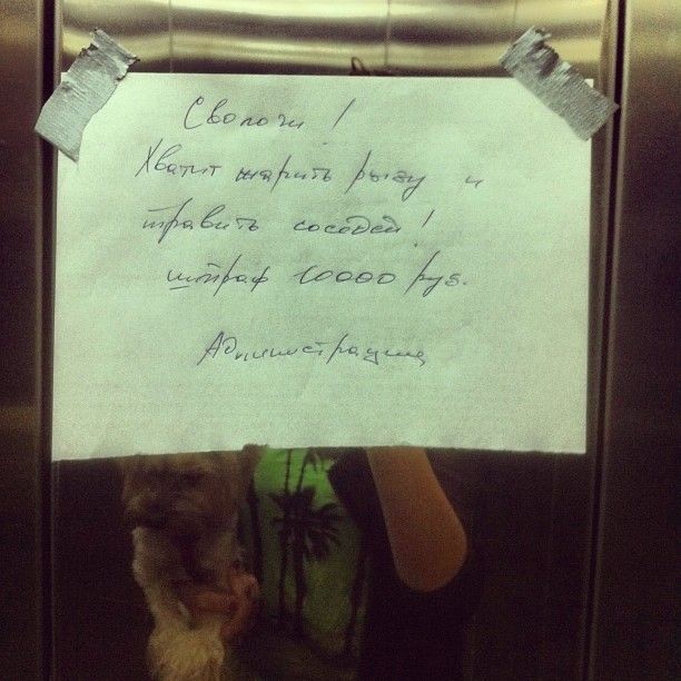 Забавные объявления в наших подъездах