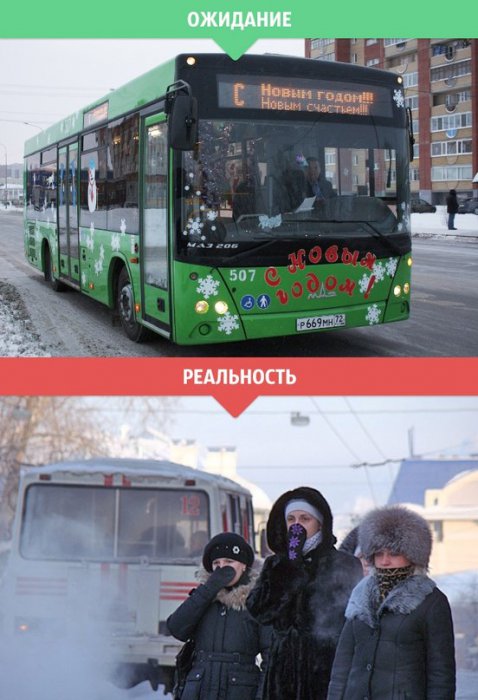 Зима: ожидание и реальность
