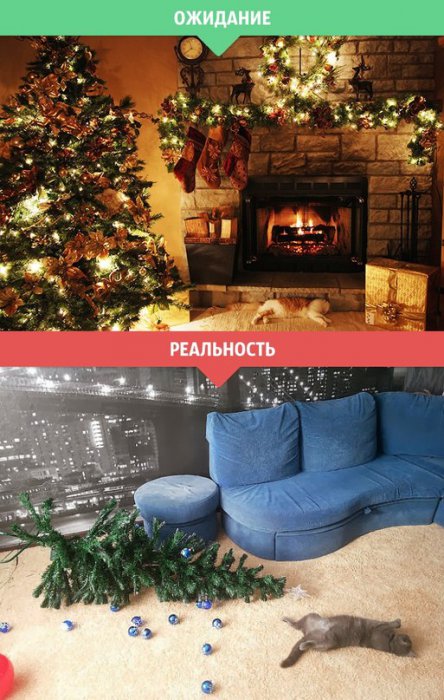 Зима: ожидание и реальность