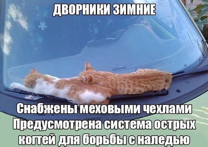 Автоюмор для автомобилистов и пешеходов