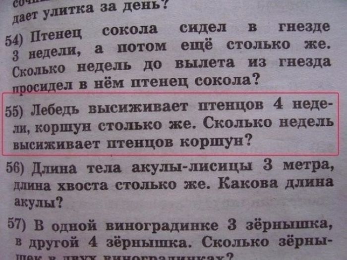 Порция картинок