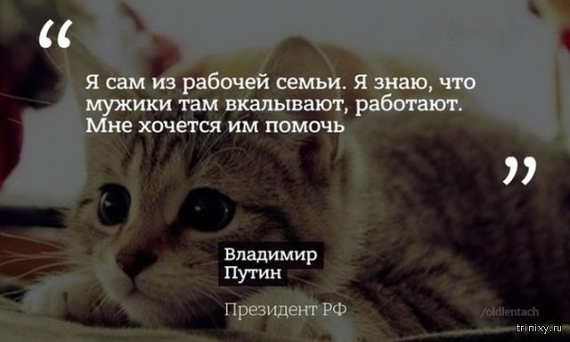 Президент России Владимир Путин ответил на вопросы журналистов на большой пресс-конференции