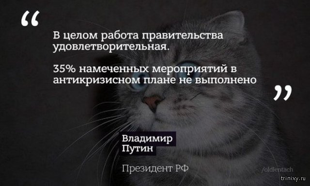 Президент России Владимир Путин ответил на вопросы журналистов на большой пресс-конференции