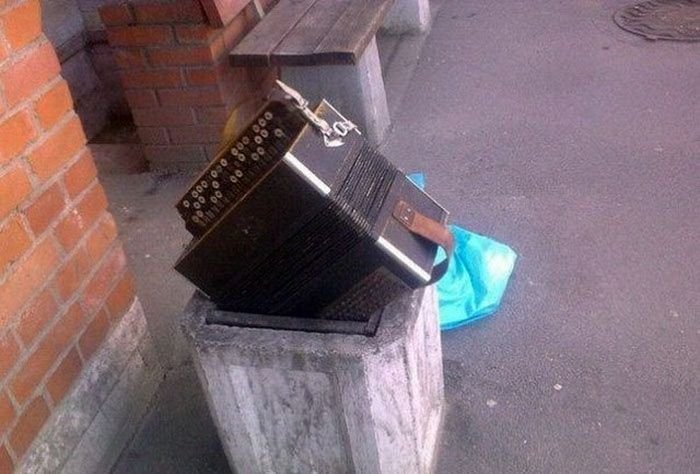 Забавные картинки
