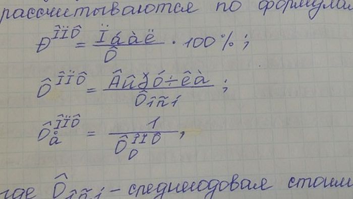 Необычная студенческая работа позабавила пользователей сети