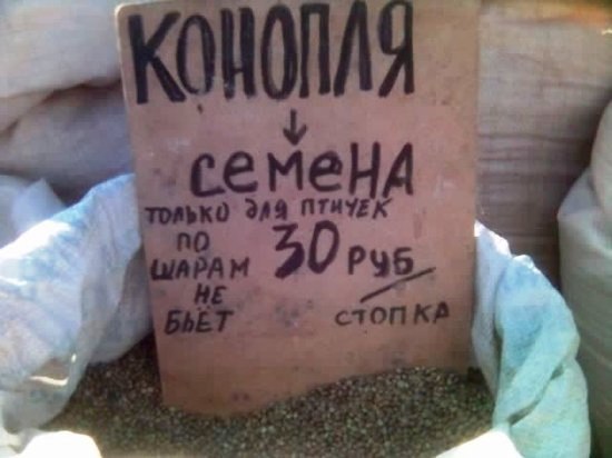 Лайфхак: как выжить в дачный сезон Лайфхак: как выжить в дачный сезон
