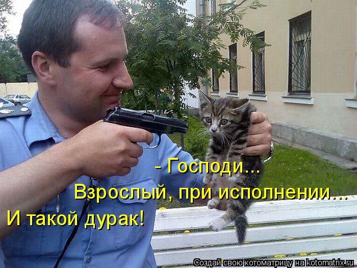 Лучшие котоматрицы недели