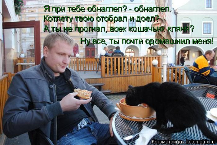 Лучшие котоматрицы недели