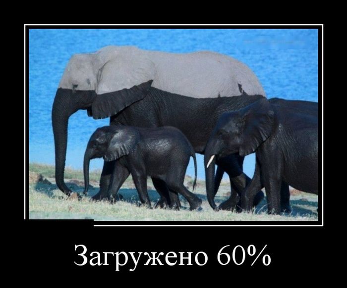 Демотиваторы
