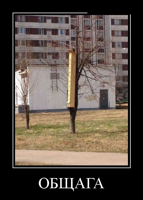Демотиваторы
