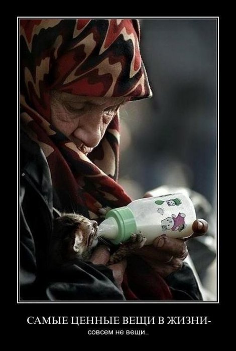 Демотиваторы
