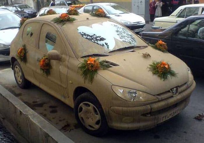 Забавные картинки
