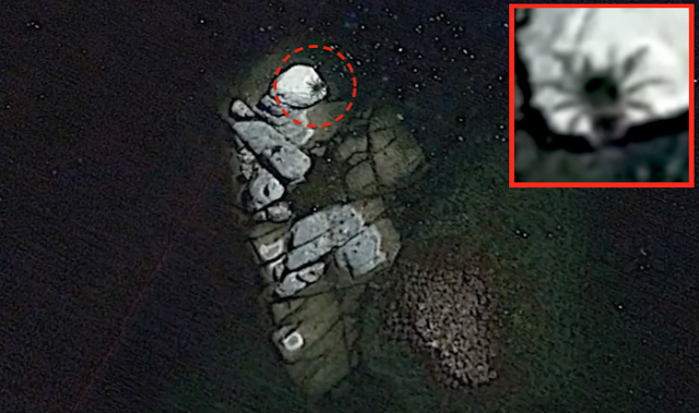 На Google Earth уфологи заметили гигантского паука, размером с автобус