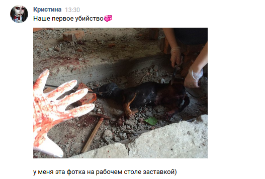 Хабаровские живодёрки Хабаровские живодёрки