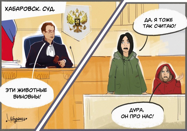 СК ужесточил статью в отношении 17-летних девушек которые подозреваются в издевательствах над животными в Хабаровске