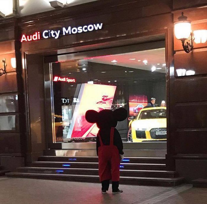 Забавные картинки