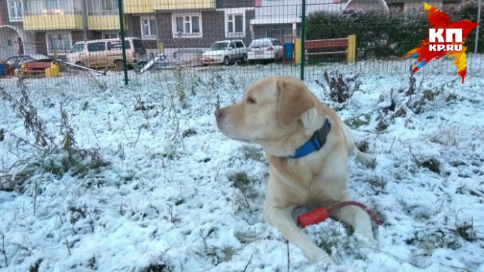 На предстоящих выходных в Красноярск придут серьезные заморозки