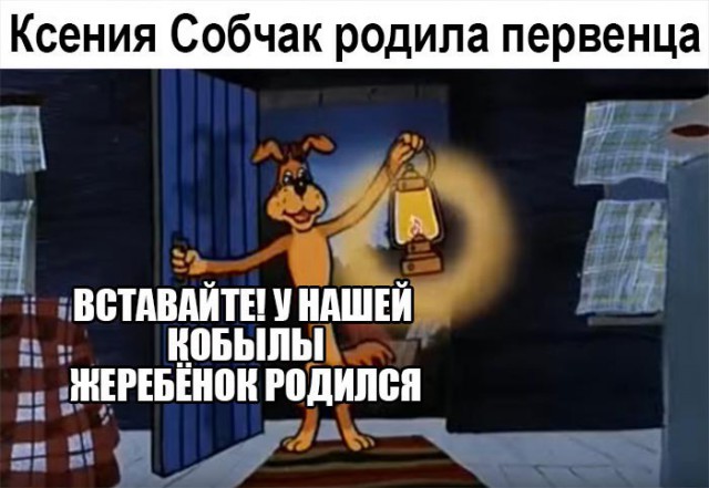  Интернет довольно бурно отреагировал на то, что Ксения Собчак родила