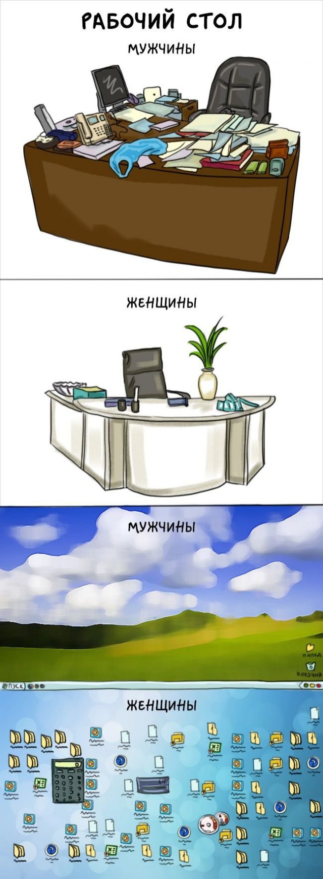 Мужчины и женщины: главные отличия