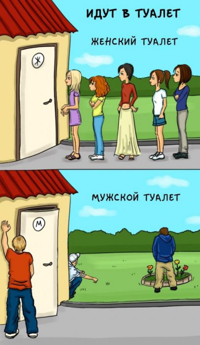Мужчины и женщины: главные отличия