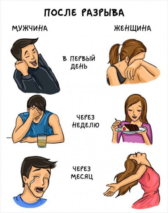 Мужчины и женщины: главные отличия