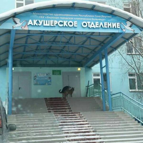 Забавные картинки