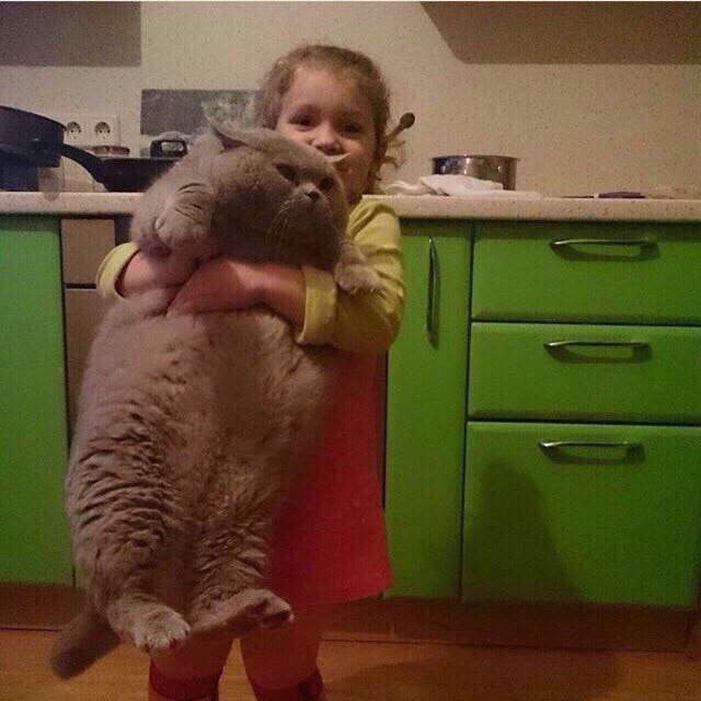 Забавные картинки