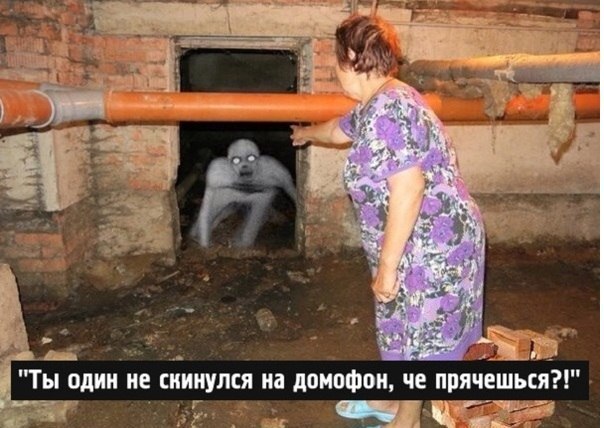 Забавные картинки