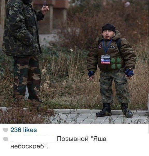 Забавные картинки