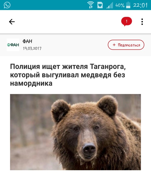 Забавные картинки