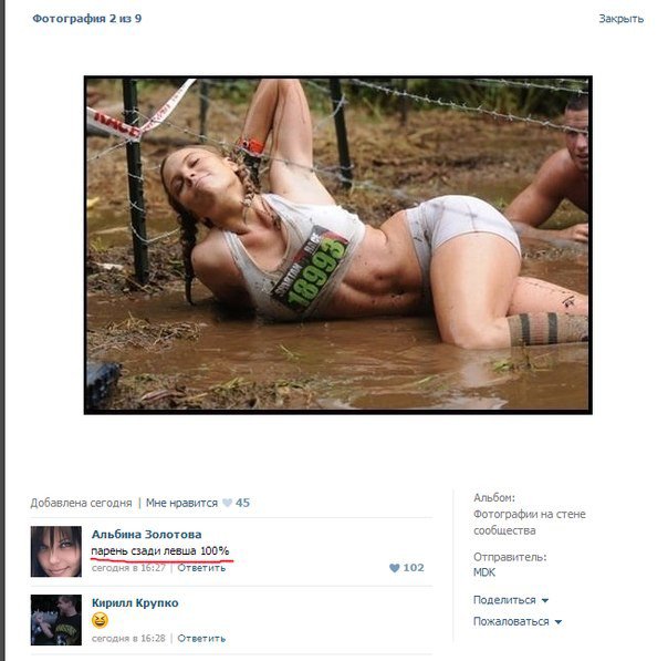 Забавные картинки
