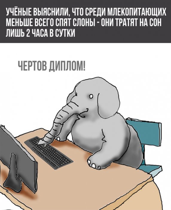 Забавные картинки