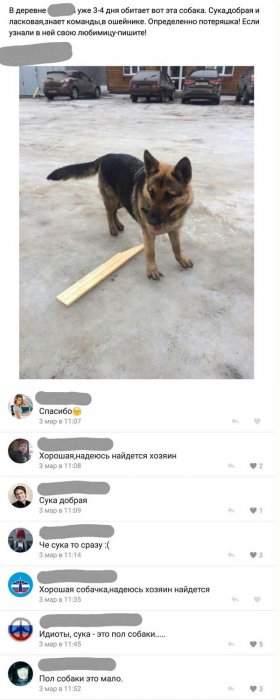 Забавные картинки