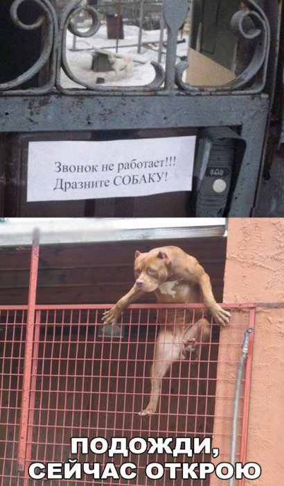 Забавные картинки