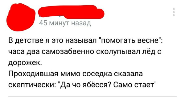 Забавные картинки