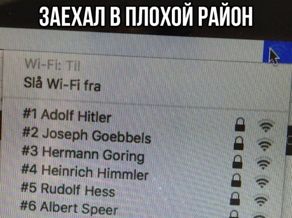 Забавные картинки