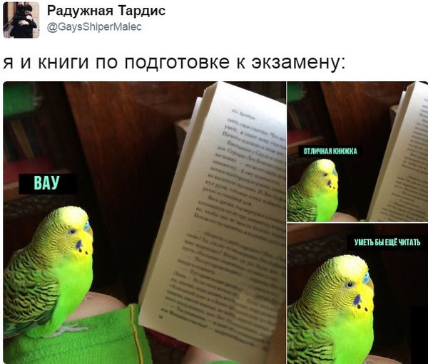 Забавные картинки