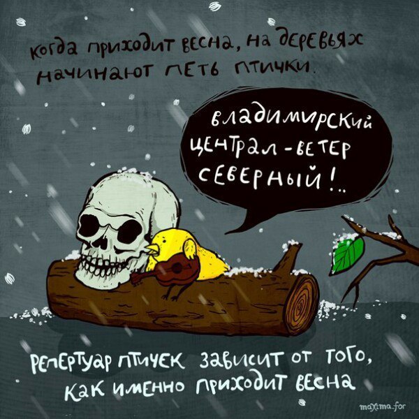 Забавные картинки